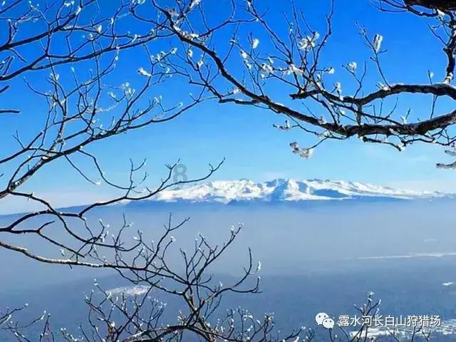 省委召开党外人士民主协商会
